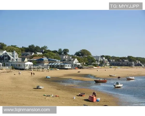 足球ATW球星风采展现:从绿茵场到全球舞台的璀璨足迹 足球ATW球星风采展现:从绿茵场到全球舞台的璀璨足迹