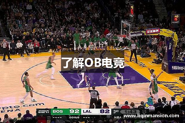 了解OB电竞